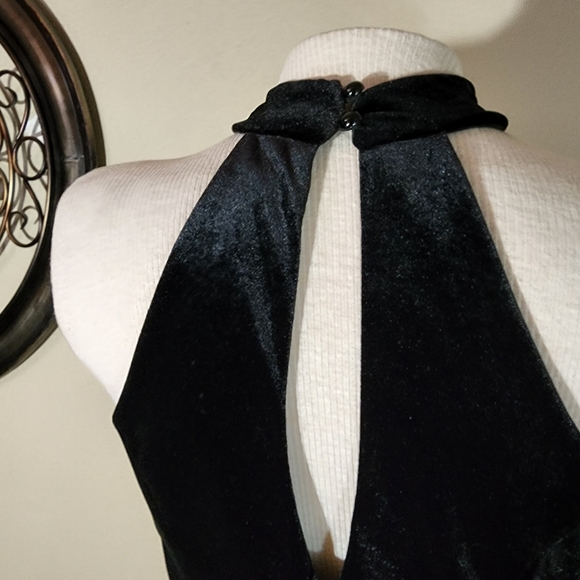 Windsor Dress Sleeveless Pleated Cut Out Velvet and Satin Champagne Size… - Picture 14 of 17